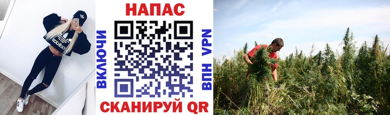 Как найти закладки Выборг COCAIN АМФЕТАМИН ГАШ APVP
