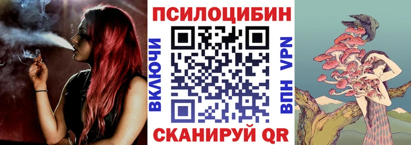 shop Telegram  как найти наркотики  Выборг  Псилоцибиновые грибы ЛСД 