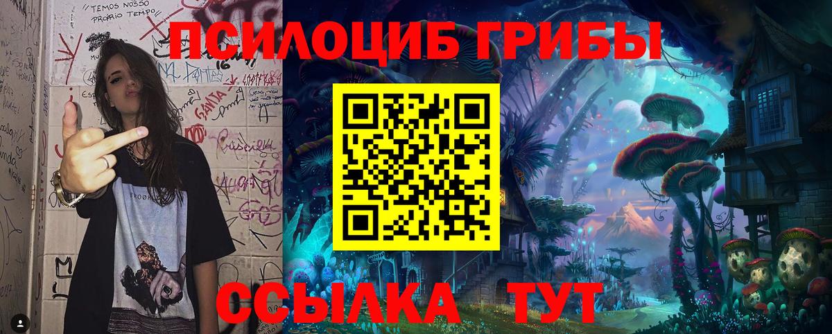 Галлюциногенные грибы GOLDEN TEACHER Выборг