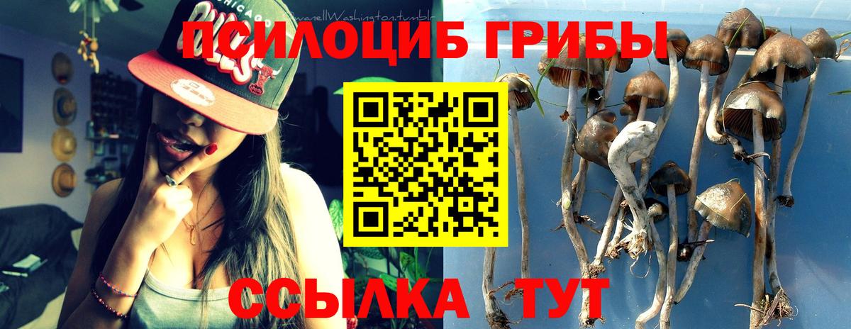 Выборг  Галлюциногенные грибы прущие грибы  Вход с VPN  Псилоцибиновые грибы мицелий 