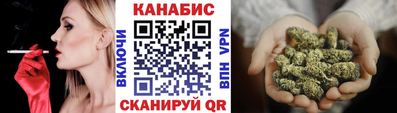 Шишки марихуана планчик Выборг
